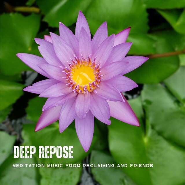 Deep Repose: Meditation Music from Reclaiming and Friends