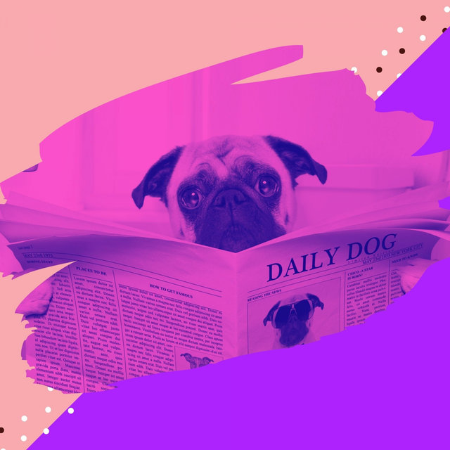 Music for Doggy Anxiety - Mysterious Acoustic Guitar