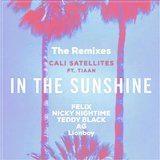 In the Sunshine (AG Remix)