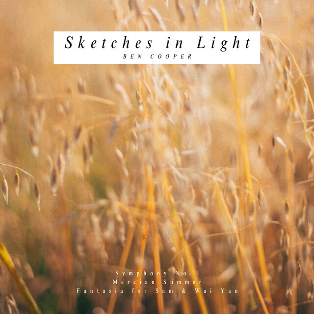 Sketches in Light