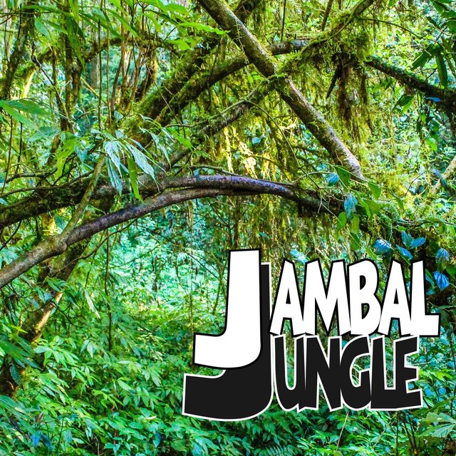 Jambal Jungle