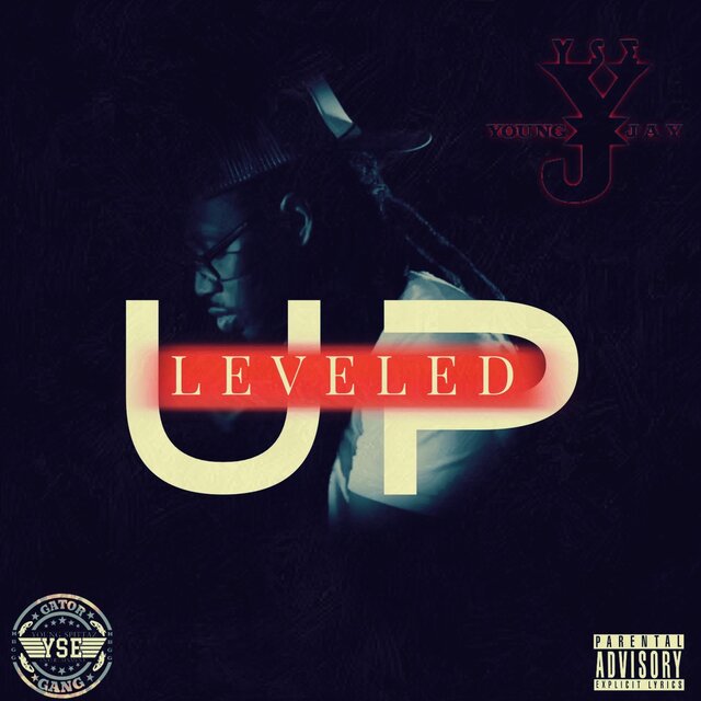 LEVELED UP