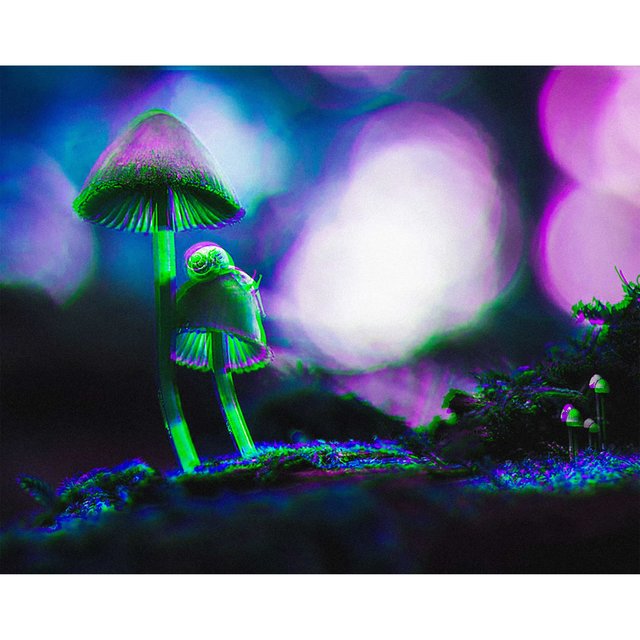 Rebirth