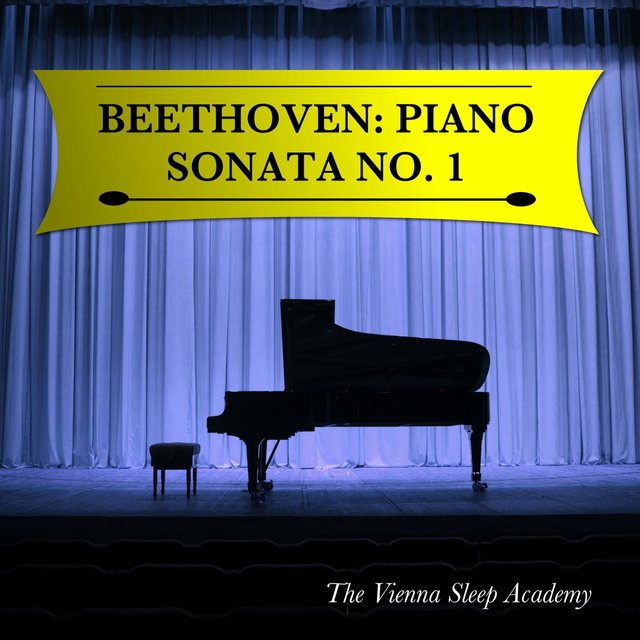 Beethoven: Piano Sonata No. 1
