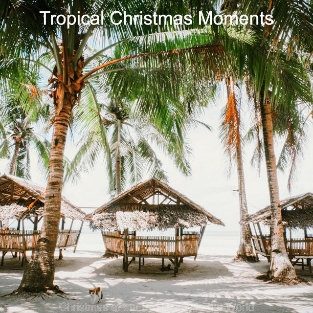 Christmas at the Beach Joy to the World