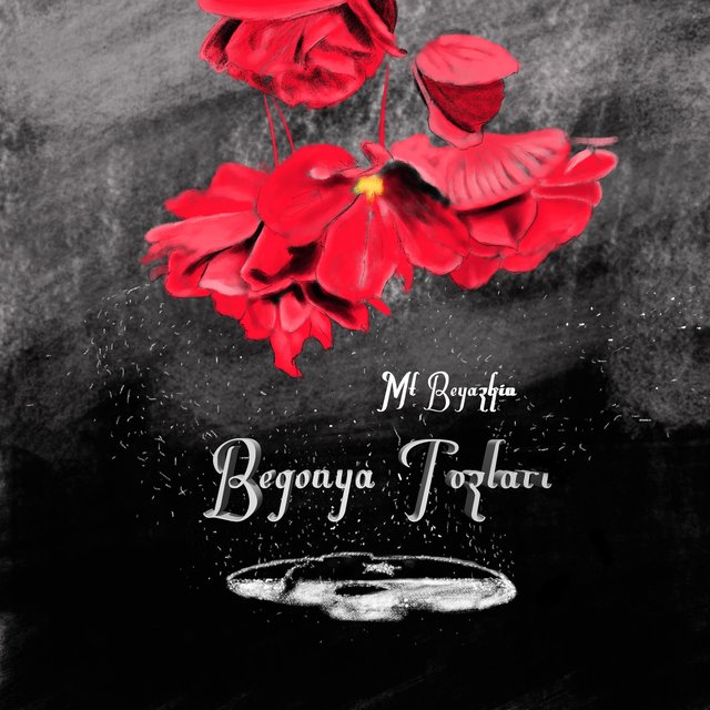 Begonya Tozları