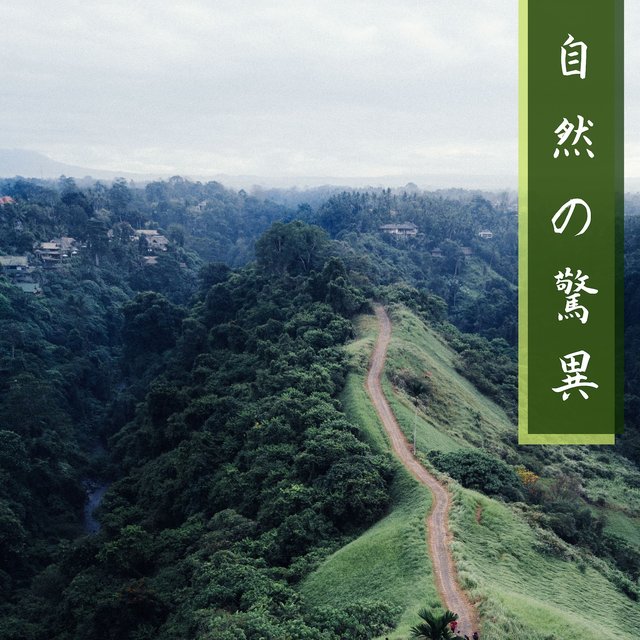 自然の驚異 - 自然の風景, 潜在意識へのアクセス