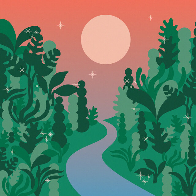 Cover art for album  by Ximena Sariñana