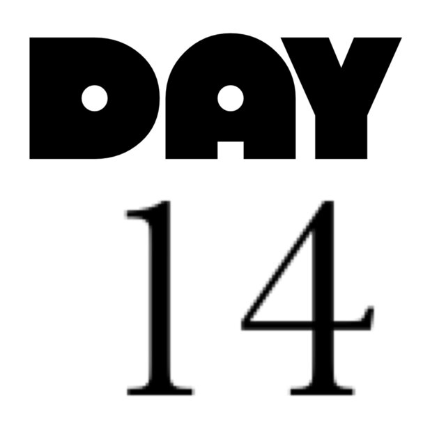 Day 14