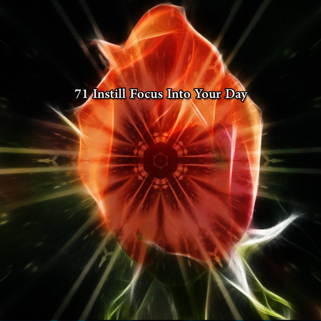 71 Instill Focus Into Your Day