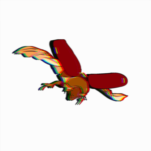 April's Flying Beetles