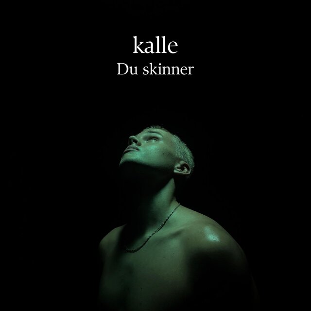 Du skinner