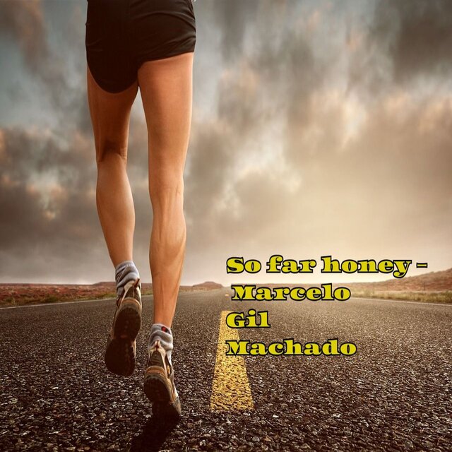So far honey (Remix)