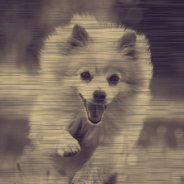 Urbane Ambiance for Dog Training