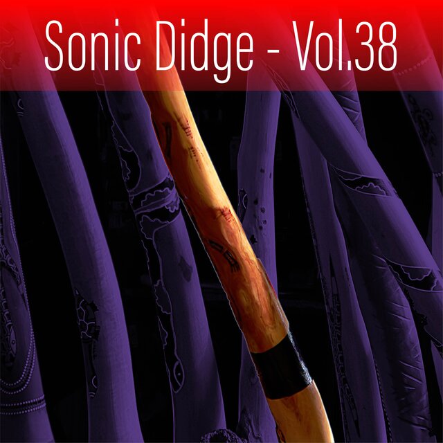 Sonic Didge, Vol. 38