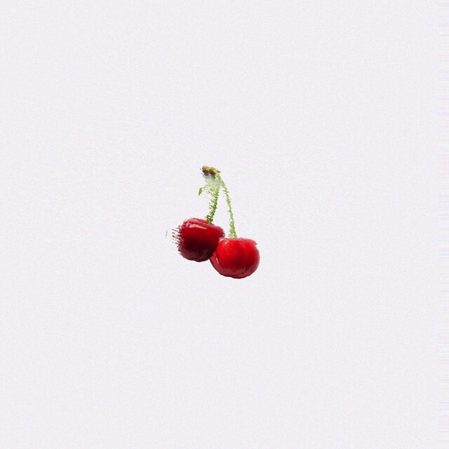 Fruits