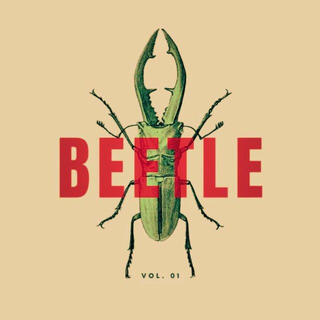 Beetle, Vol. 1