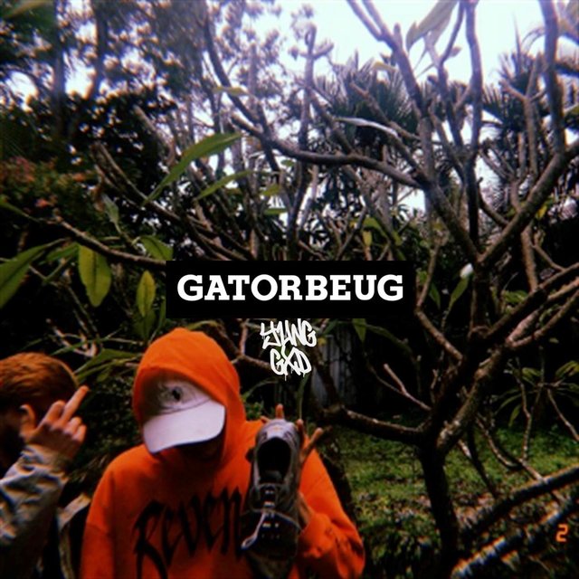Gatorbeug
