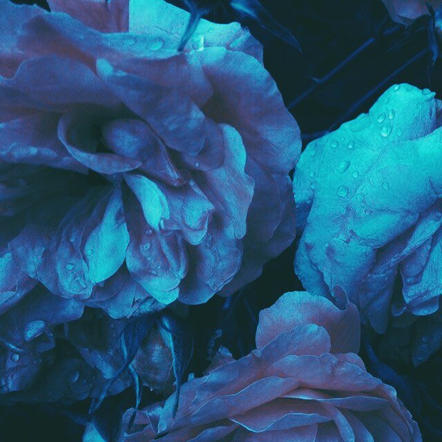 Cover art for album ☕ Warm songs for cold days ❄️ by User