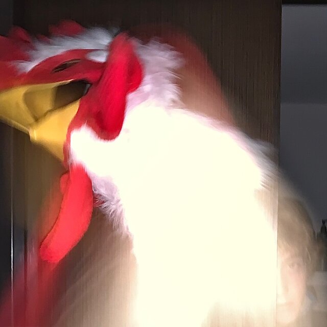 Chicken head puts out the Fire