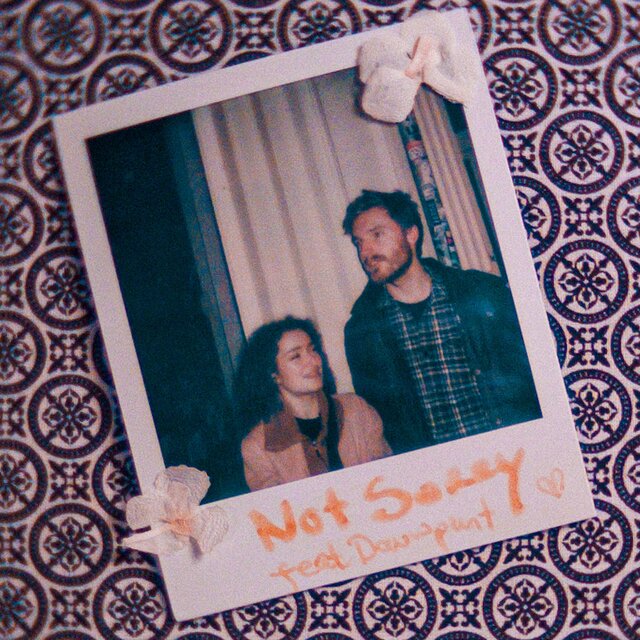 Not Sorry (feat. Dauwpunt)