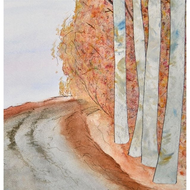 Highway Birches