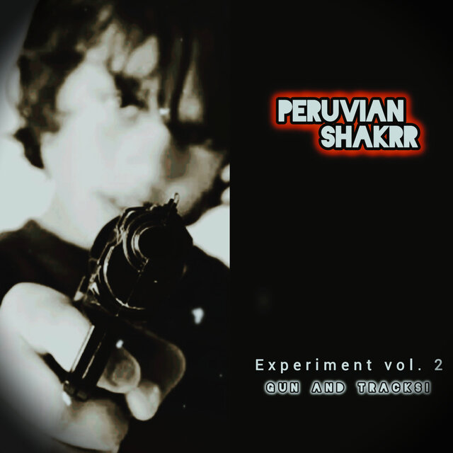 Experiment Vol. 2 - Gun And Tracks