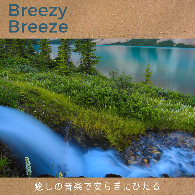癒しの音楽で安らぎにひたる