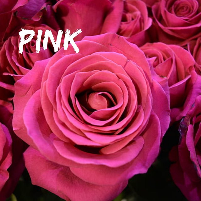 Pink