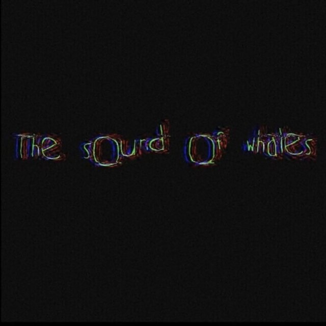The Sound Of Whales 1