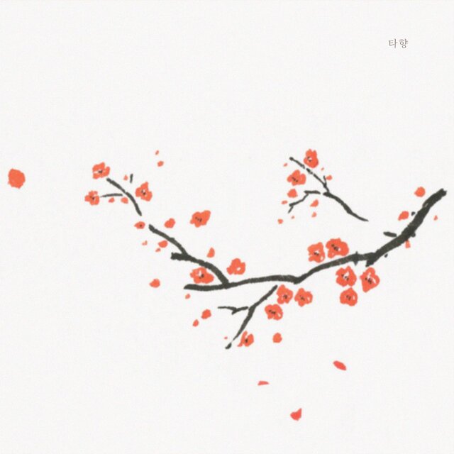 타향