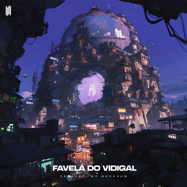 FAVELA DO VIDIGAL
