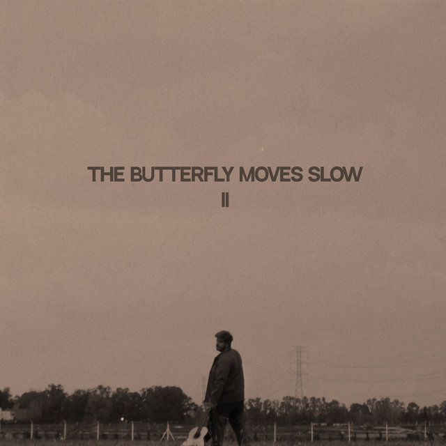 The Butterfly Moves Slow II
