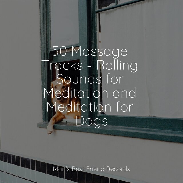 50 Massage Tracks - Rolling Sounds for Meditation and Meditation for Dogs