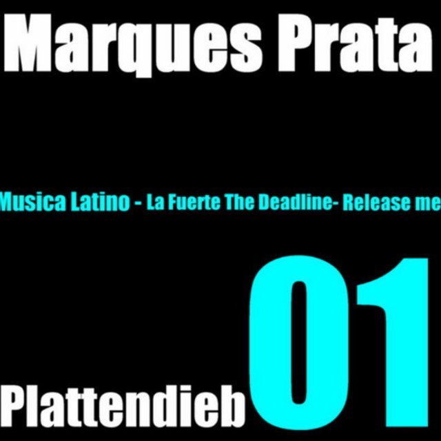 Plattendieb 01