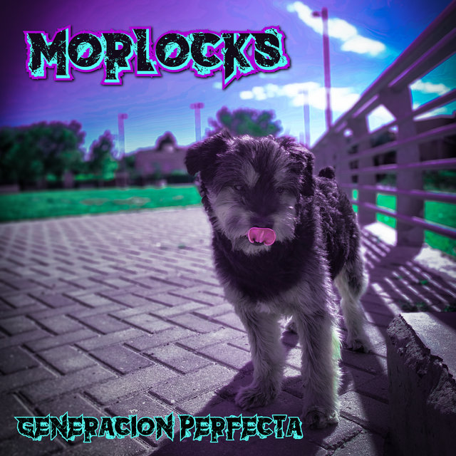 Generacion Perfecta