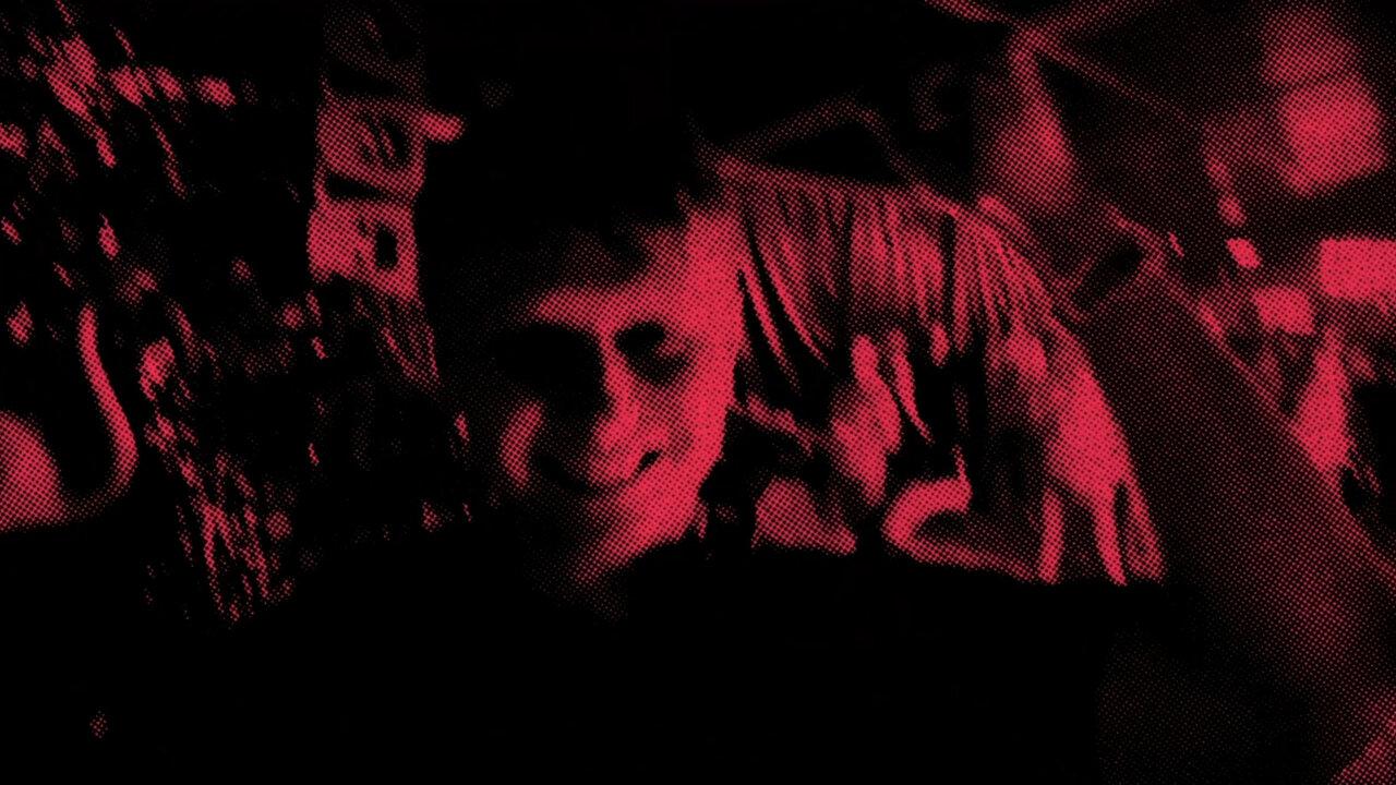 Rule The Night