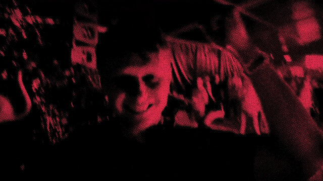 Rule The Night