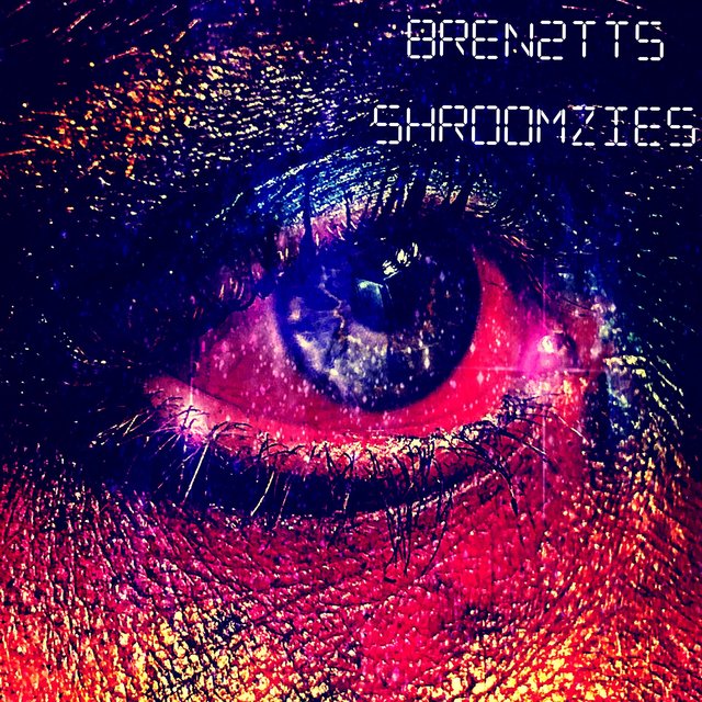Shroomzies (feat. ThiccAssTiger)