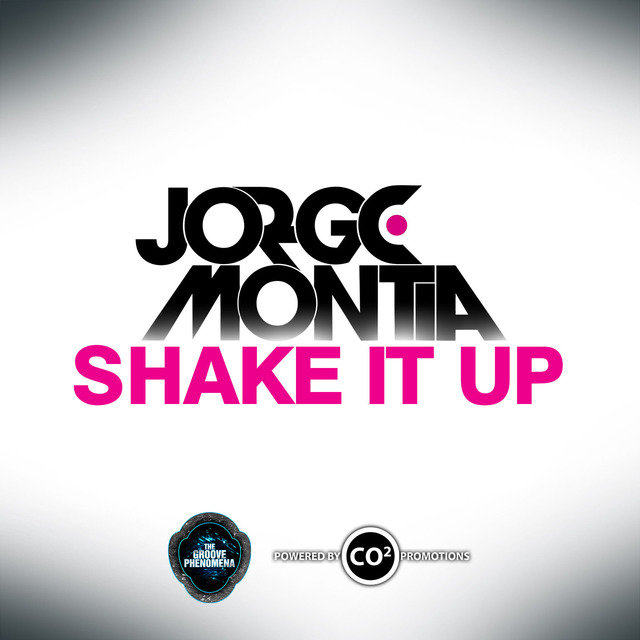 Shake it up (Original Mix)