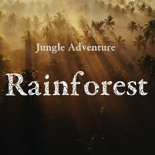 Rainforest