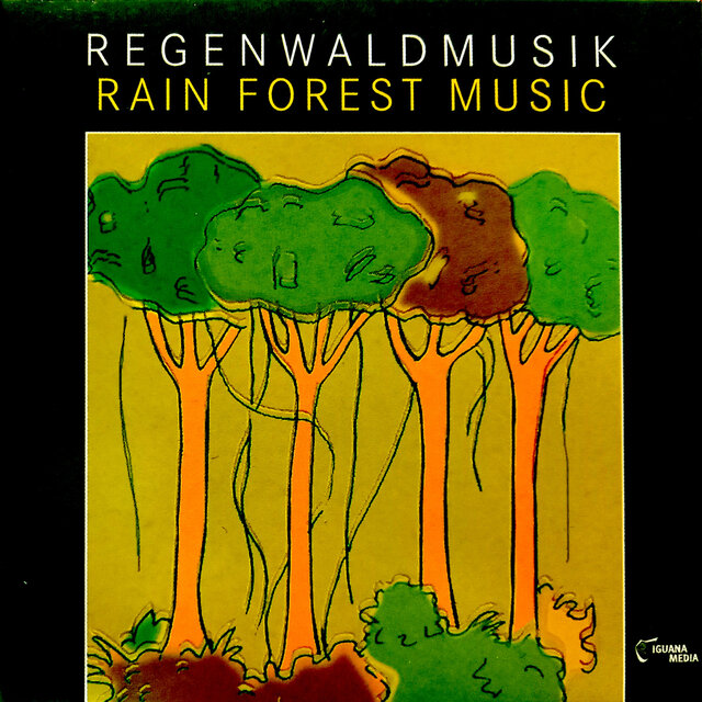 Rain Forest Music