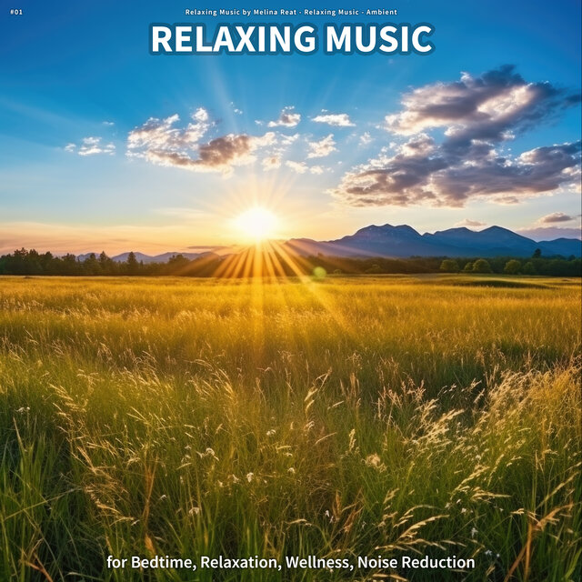 #01 Relaxing Music for Bedtime, Relaxation, Wellness, Noise Reduction