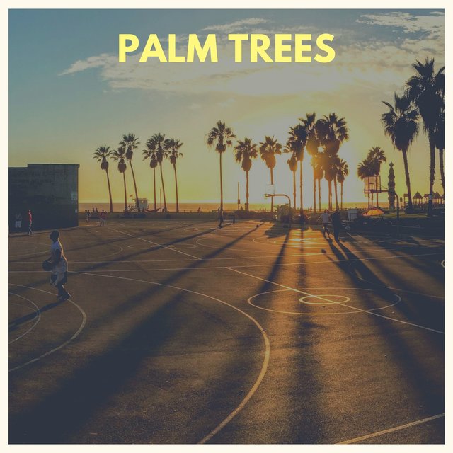 Palm Trees