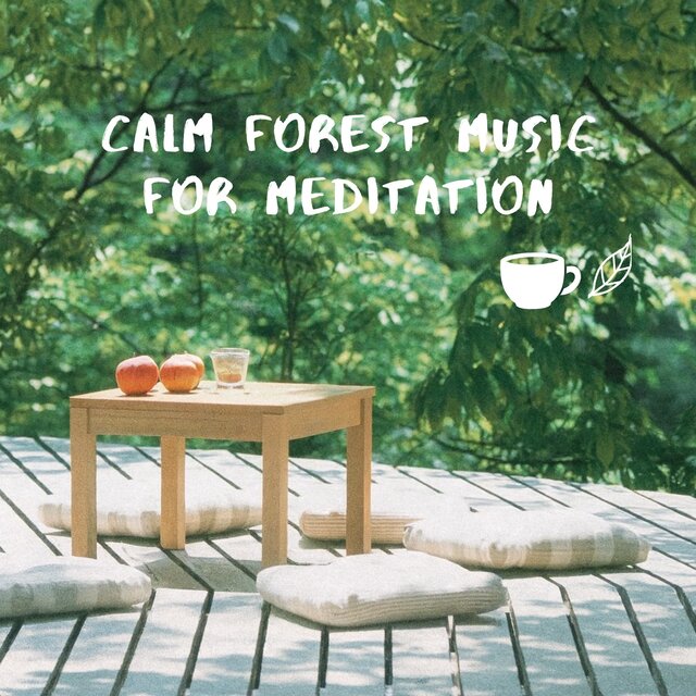 Calm Forest Music for Meditation
