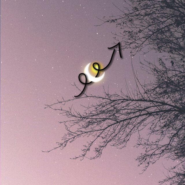 Forêité