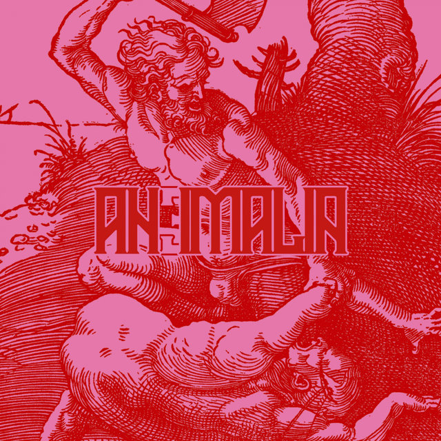Animalia