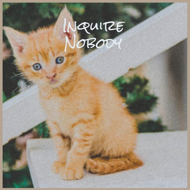 Inquire Nobody