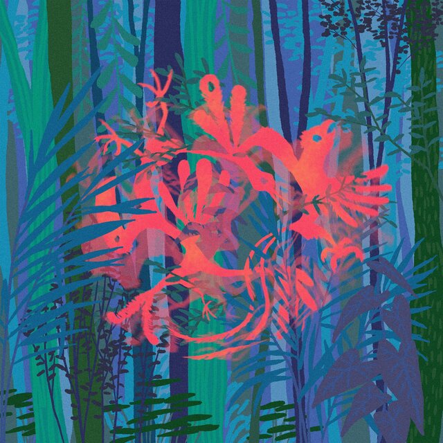 Birds Of Paradise