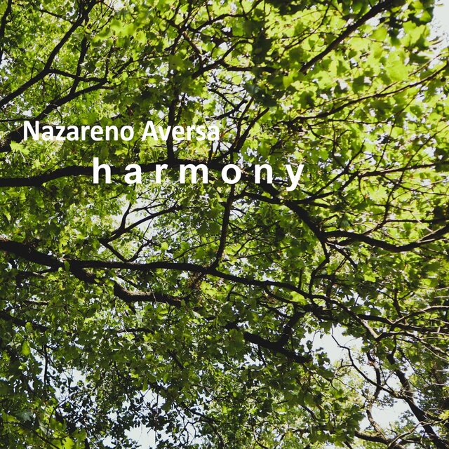 Harmony